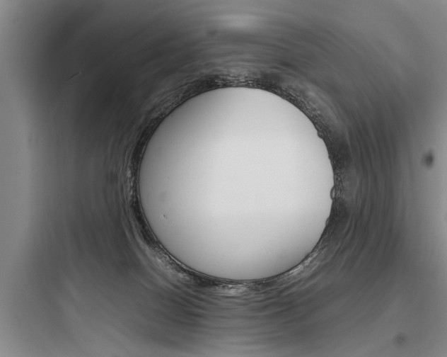 X0000097960086200803241052