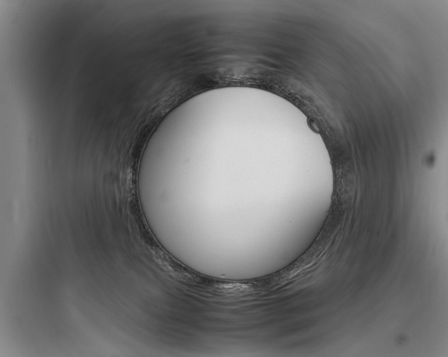 X0000097960087200803241052