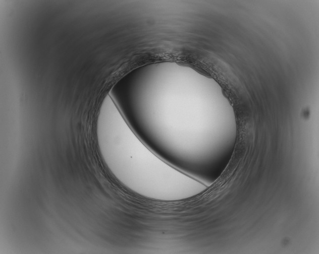 X0000097960088200803241052
