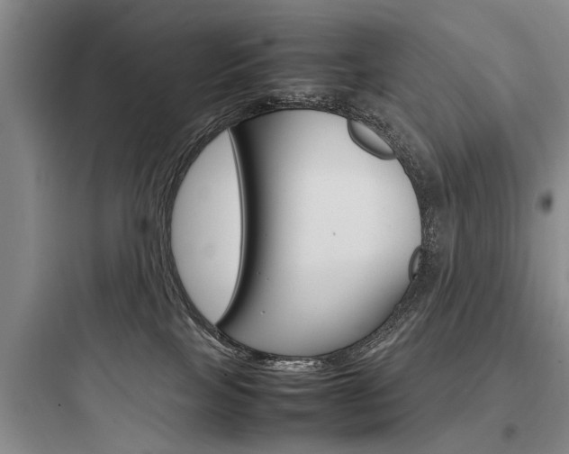 X0000097960089200803241052