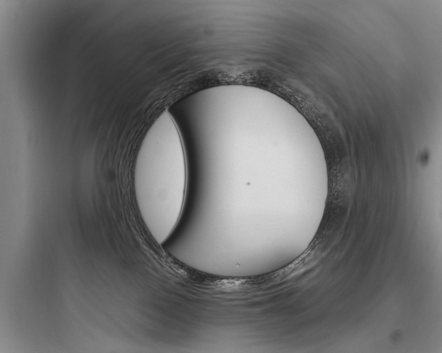 X0000097960090200803241052