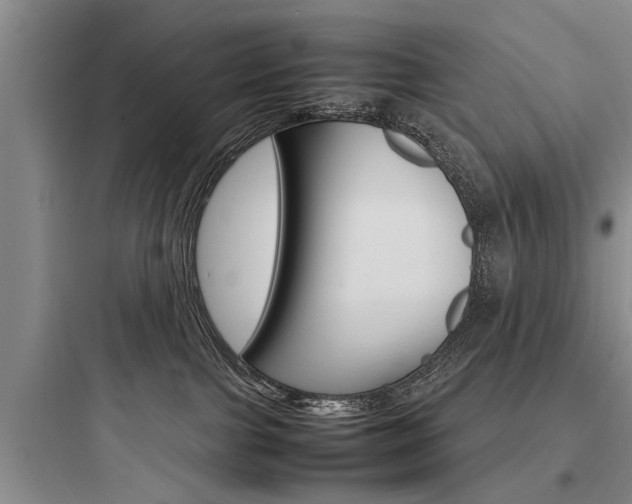 X0000097960091200803241052
