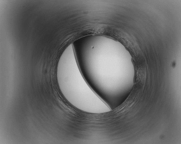 X0000097960092200803241052