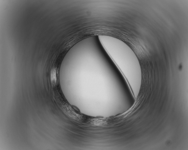 X0000097960094200803241052