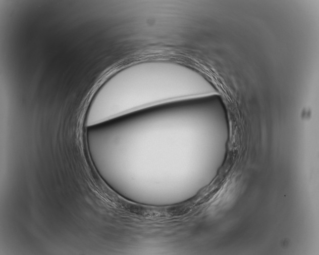 X0000097960099200803241051