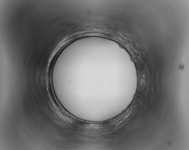 X0000097960102200803241051