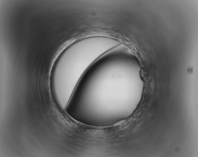 X0000097960104200803241051