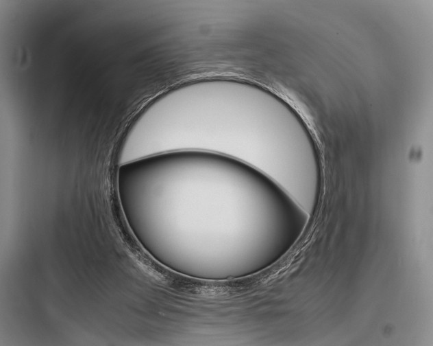 X0000097960105200803241051