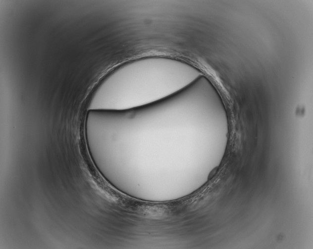 X0000097960106200803241051