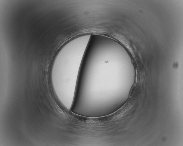 X0000097960109200803241051