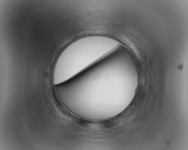 X0000097960115200803241051