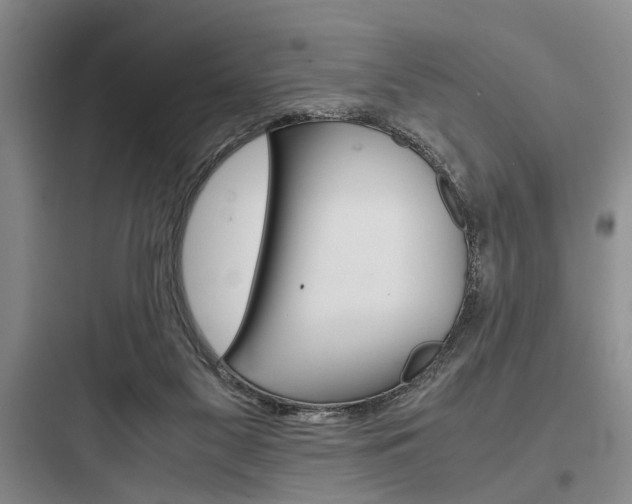 X0000097960117200803241051