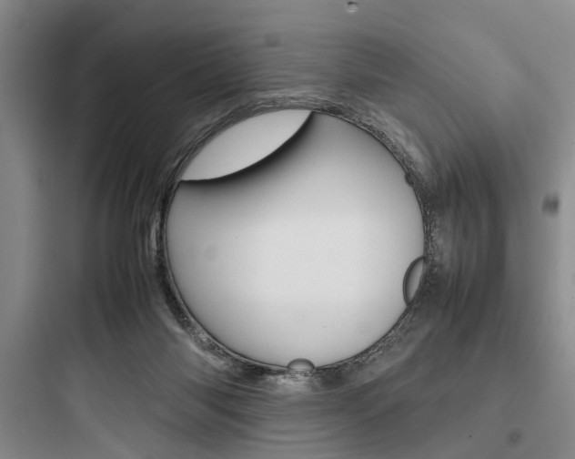 X0000097960118200803241051
