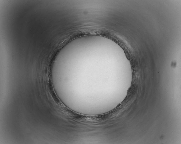 X0000097960121200803241051
