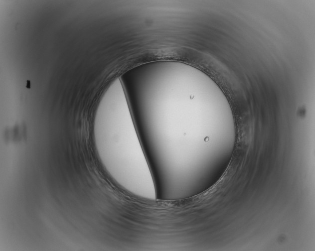 X0000097960124200803241051