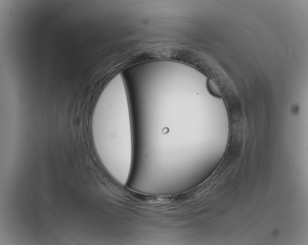 X0000097960125200803241051