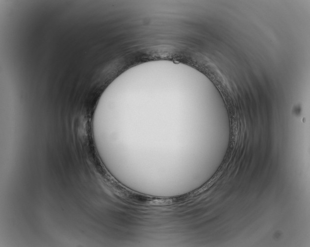 X0000097960126200803241051
