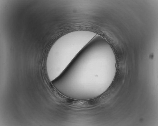 X0000097960129200803241051