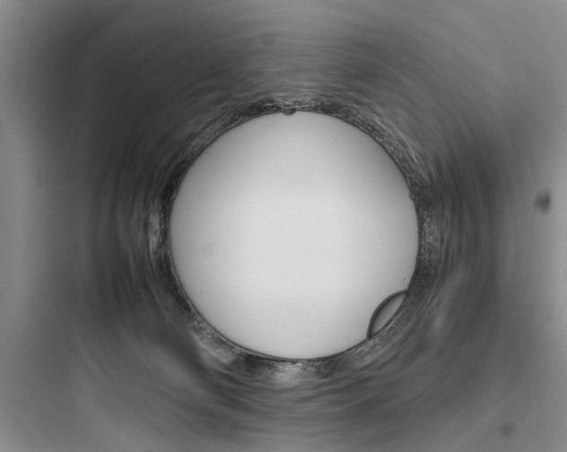 X0000097960130200803241051