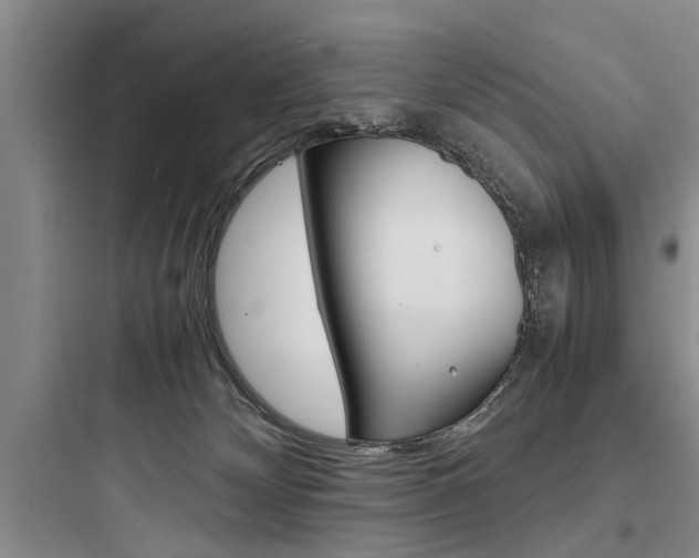 X0000097960132200803241051