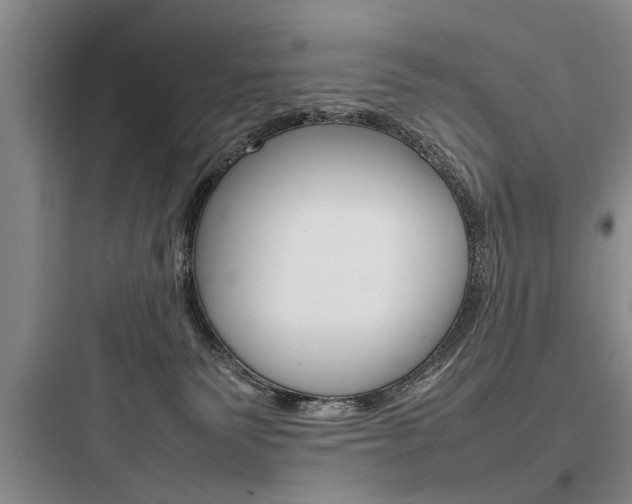 X0000097960135200803241051