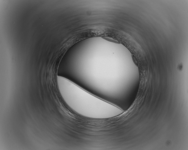 X0000097960136200803241051