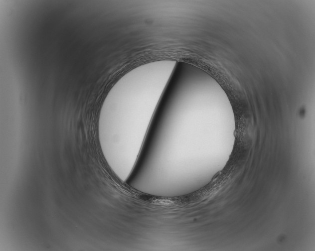 X0000097960139200803241051