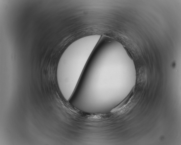 X0000097960140200803241050