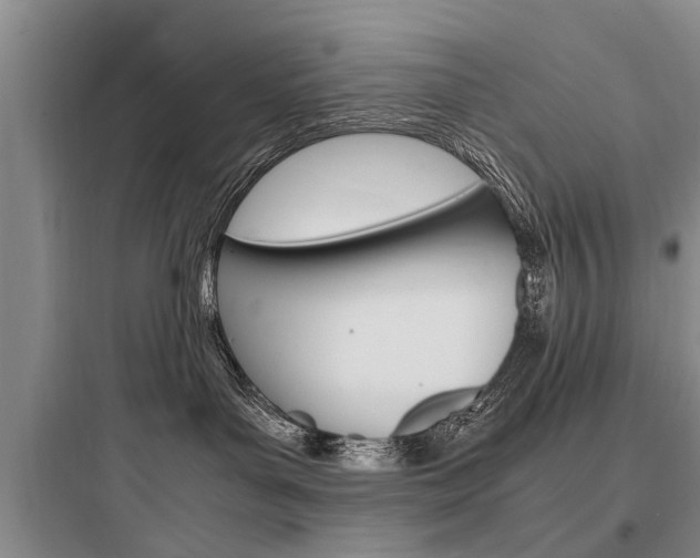 X0000097960143200803241050