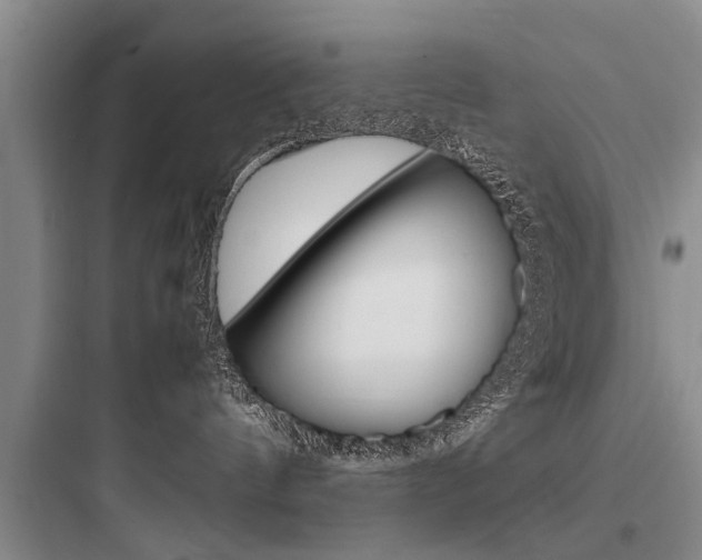X0000097960144200803241050