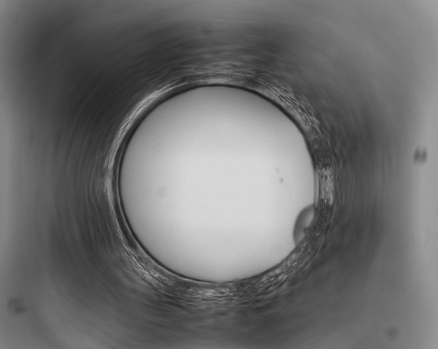 X0000097960147200803241050
