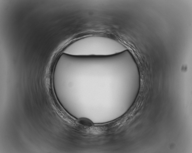 X0000097960149200803241050