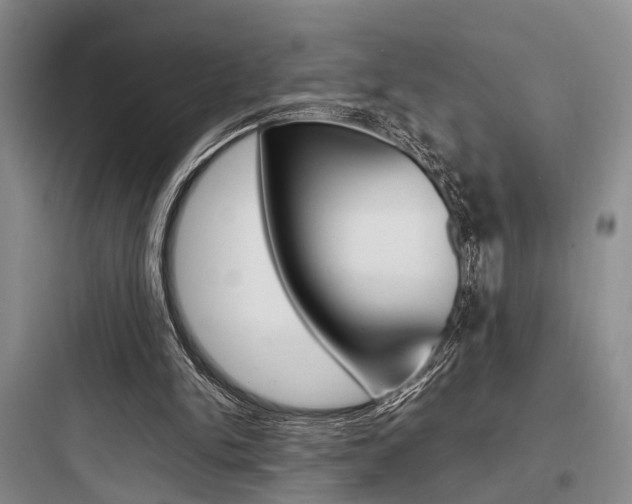 X0000097960150200803241050