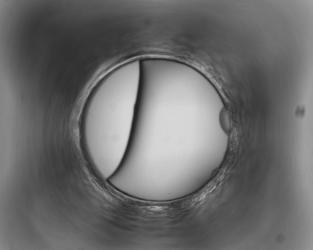 X0000097960151200803241050