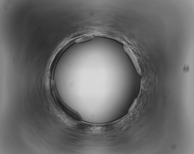 X0000097960152200803241050
