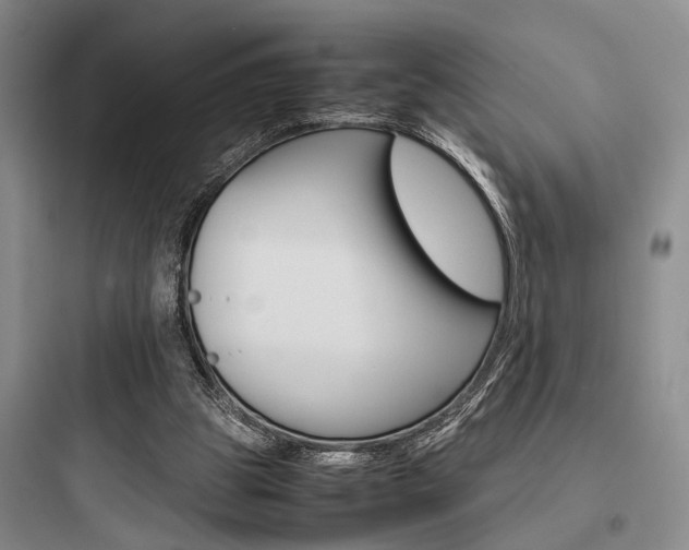 X0000097960153200803241050