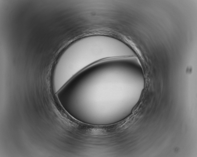 X0000097960154200803241050
