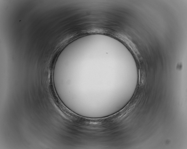 X0000097960157200803241050