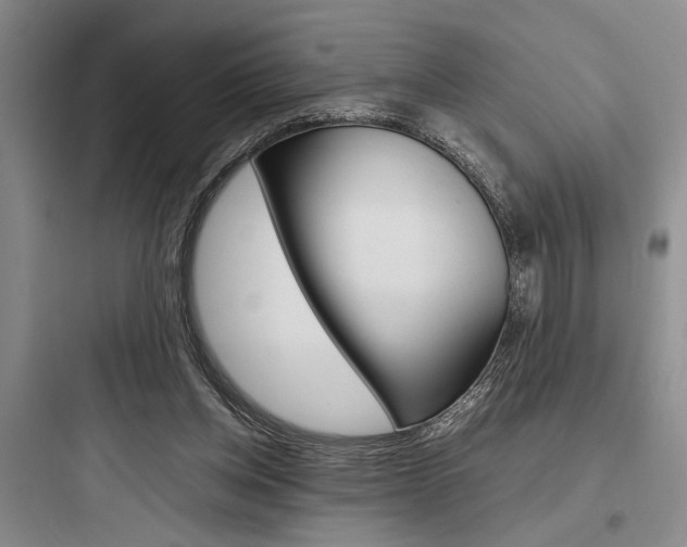 X0000097960158200803241050