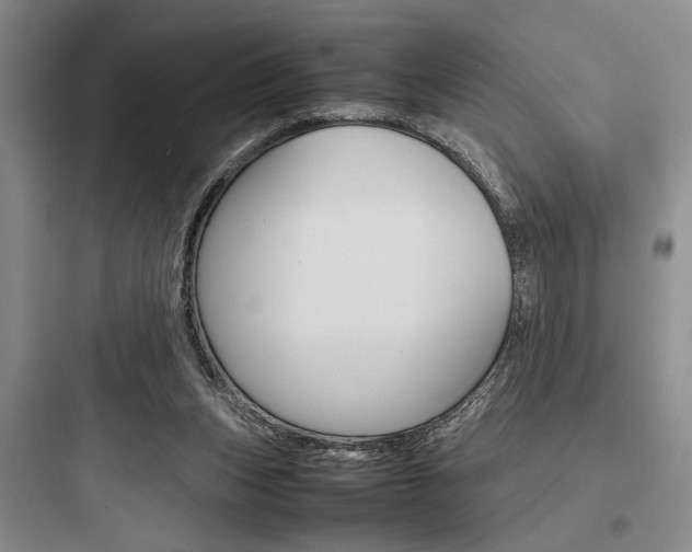 X0000097960159200803241050