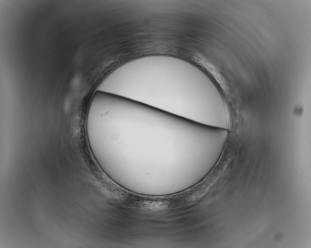 X0000097960161200803241050