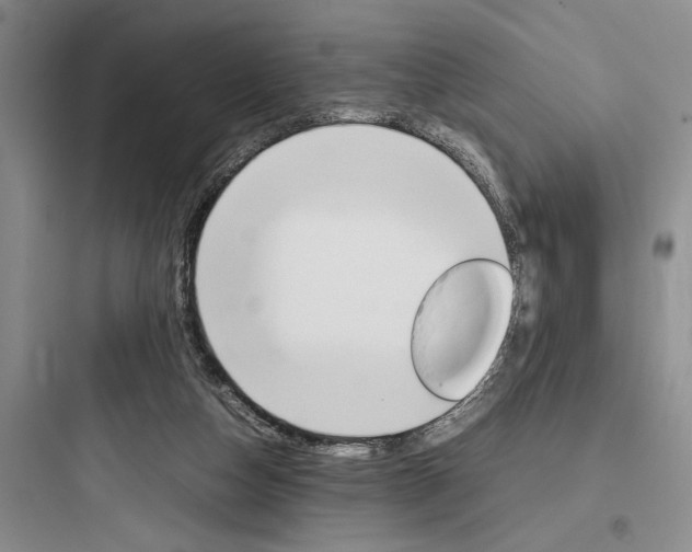 X0000097960162200803241050