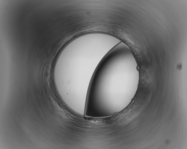 X0000097960164200803241050