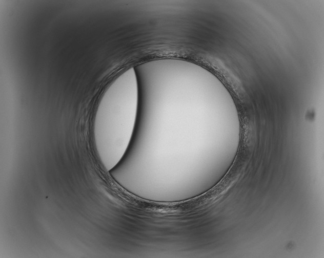 X0000097960165200803241050