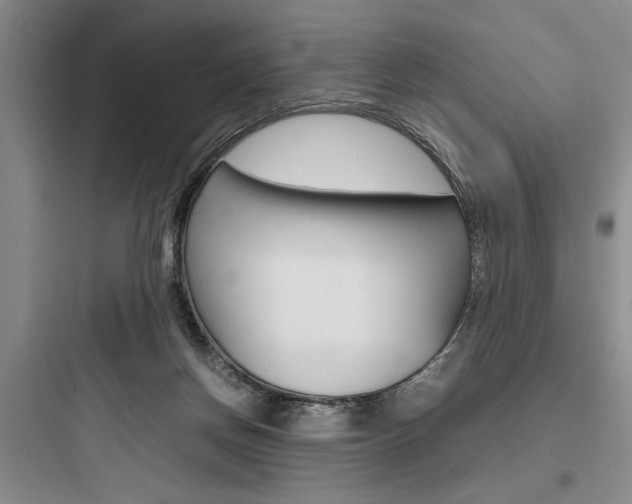 X0000097960166200803241050