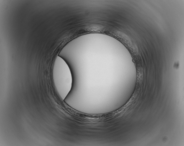 X0000097960167200803241050