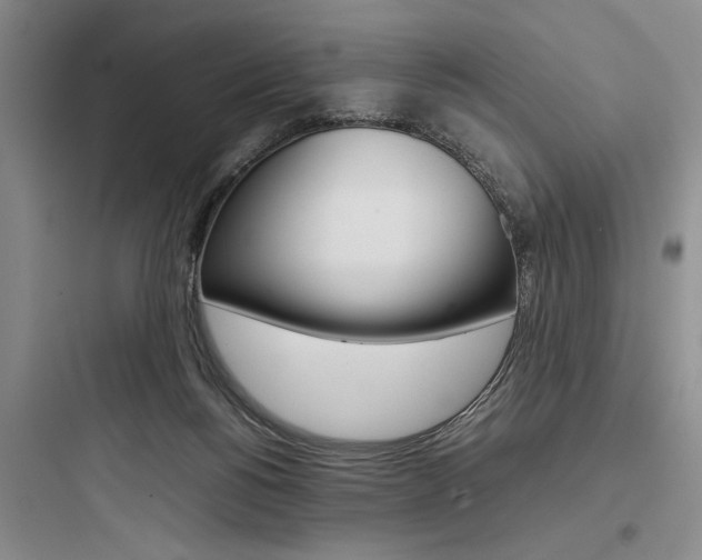 X0000097960168200803241050