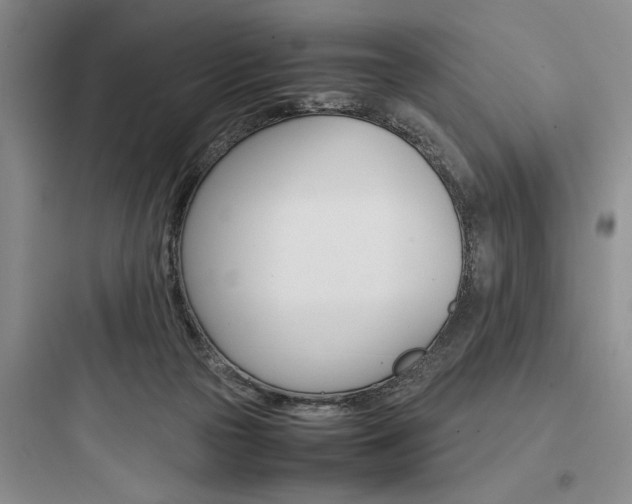 X0000097960169200803241050