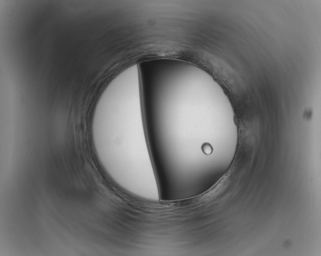 X0000097960170200803241050
