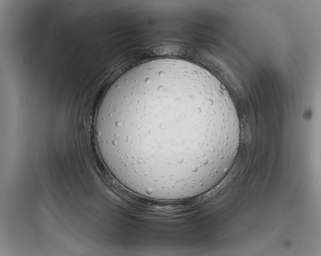 X0000097960171200803241050